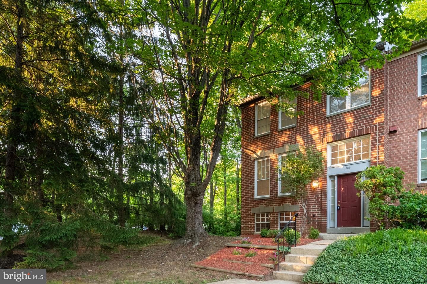 11339 Baroque Road photo 2