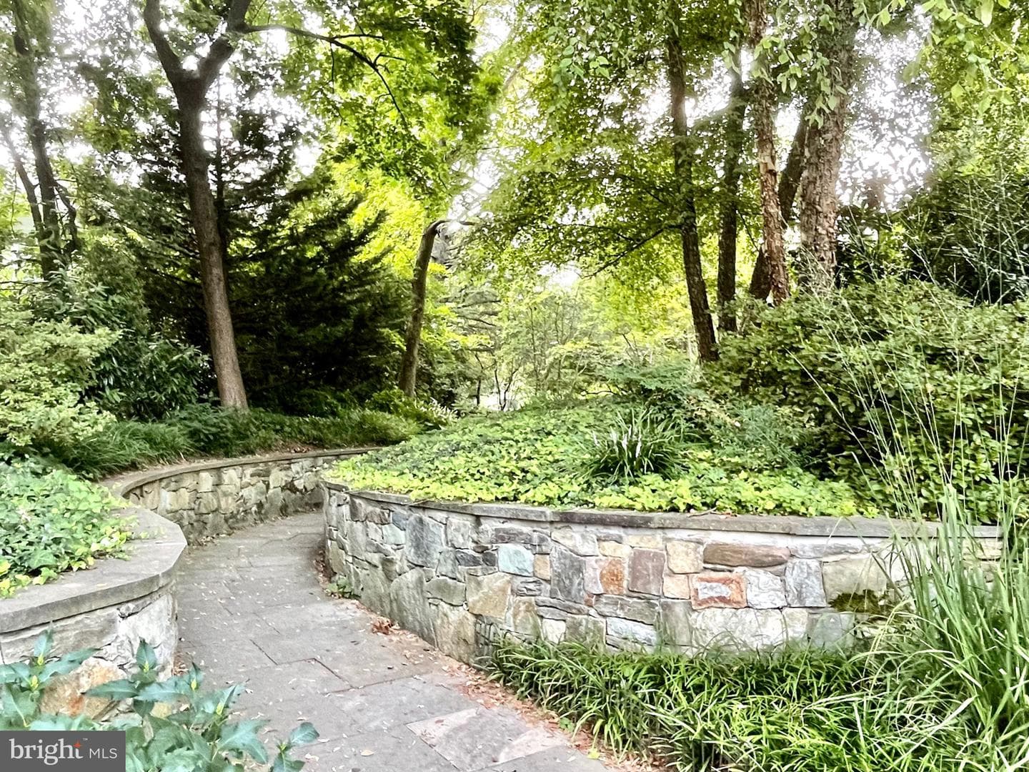 7605 Maple Avenue photo 65