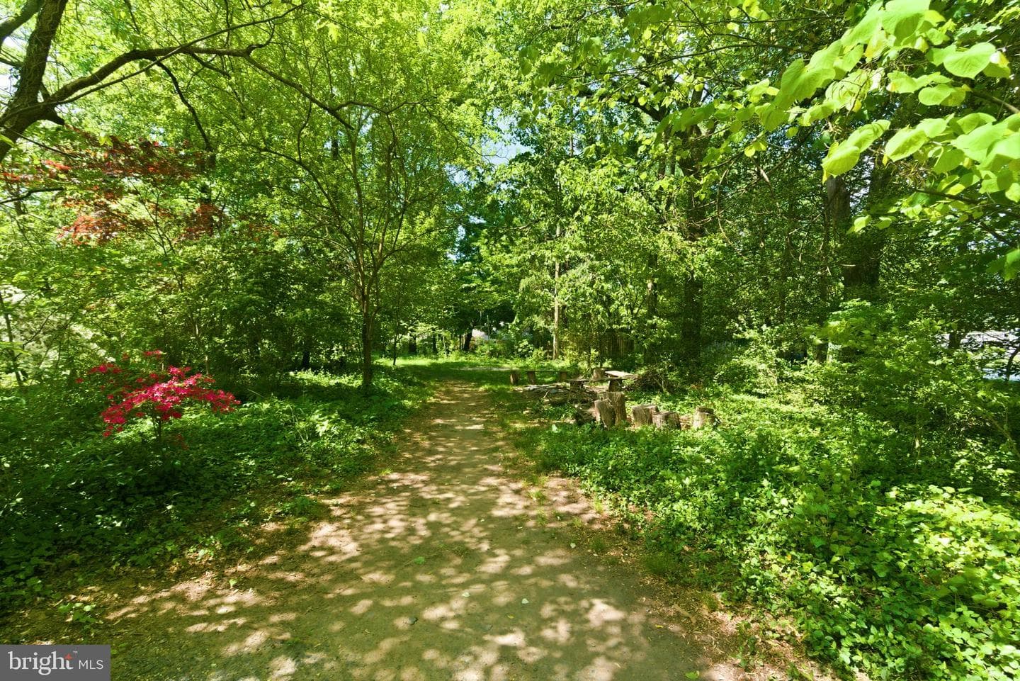1102 Edgevale Road photo 75