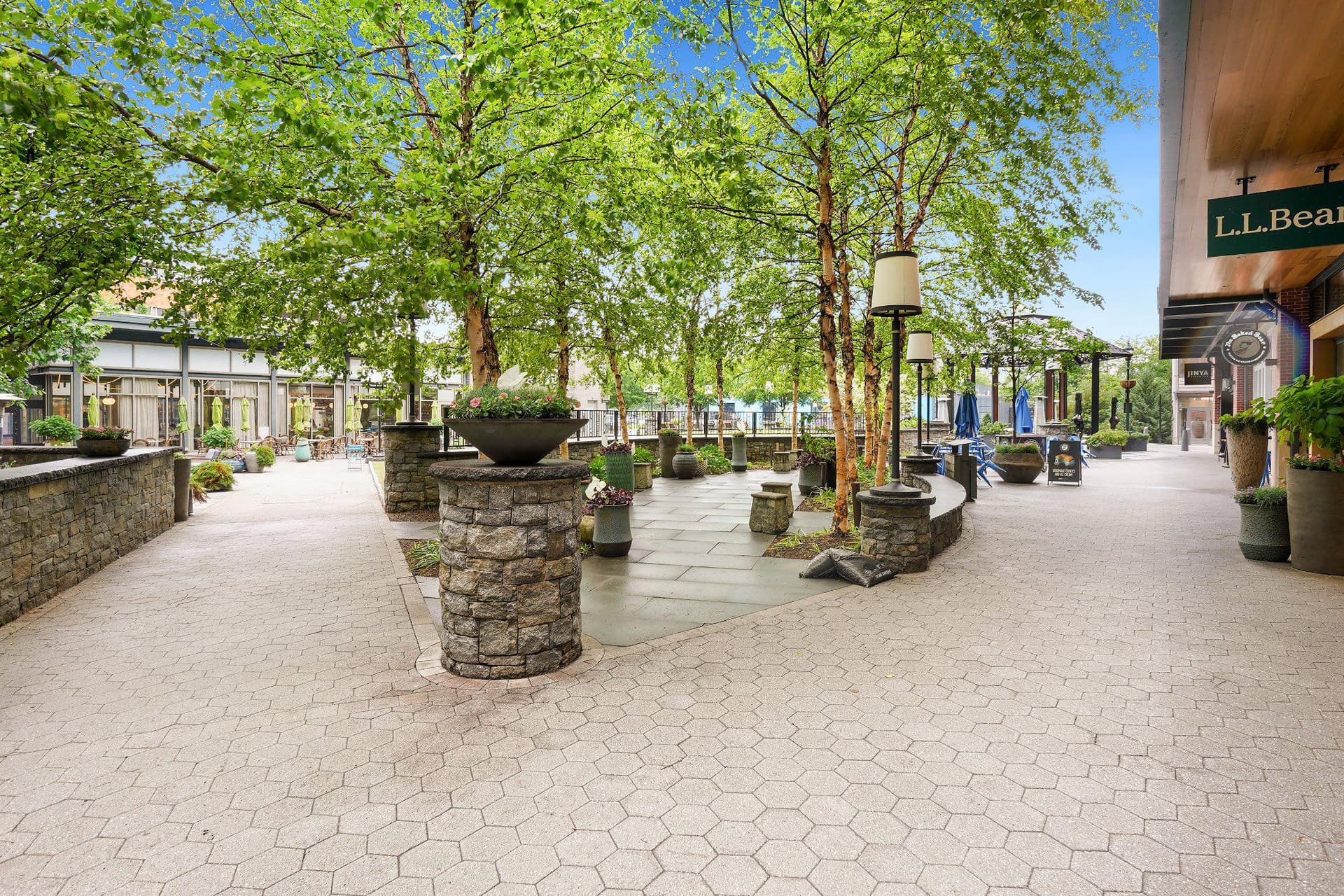 12301 Espalier Place photo 61