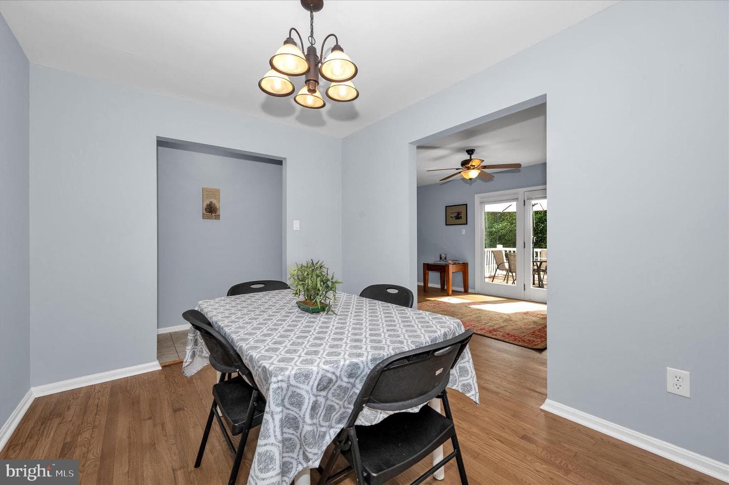 10120 Nightingale Street photo 13