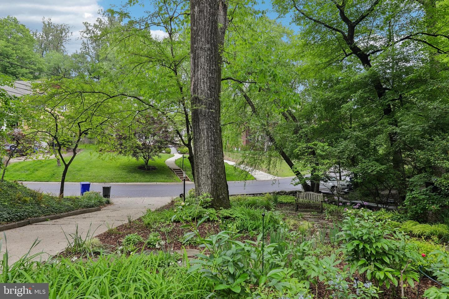 3512 Woodbine Street photo 6