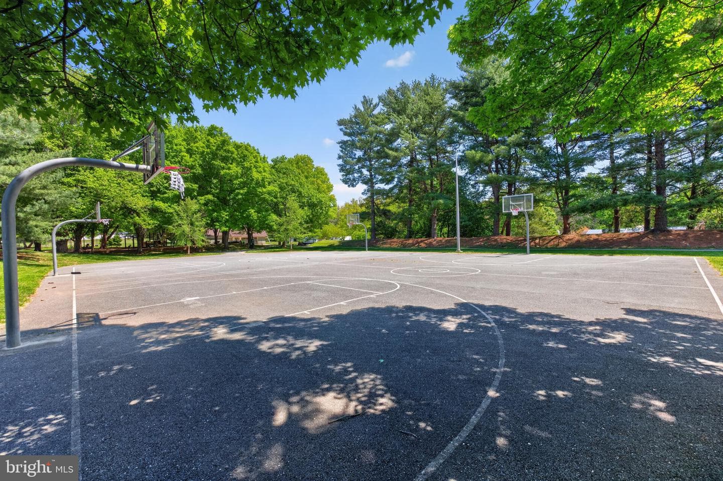 6 Galesville Court photo 49