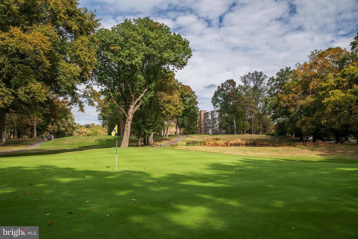 15100 Interlachen Drive #4-521 photo 43