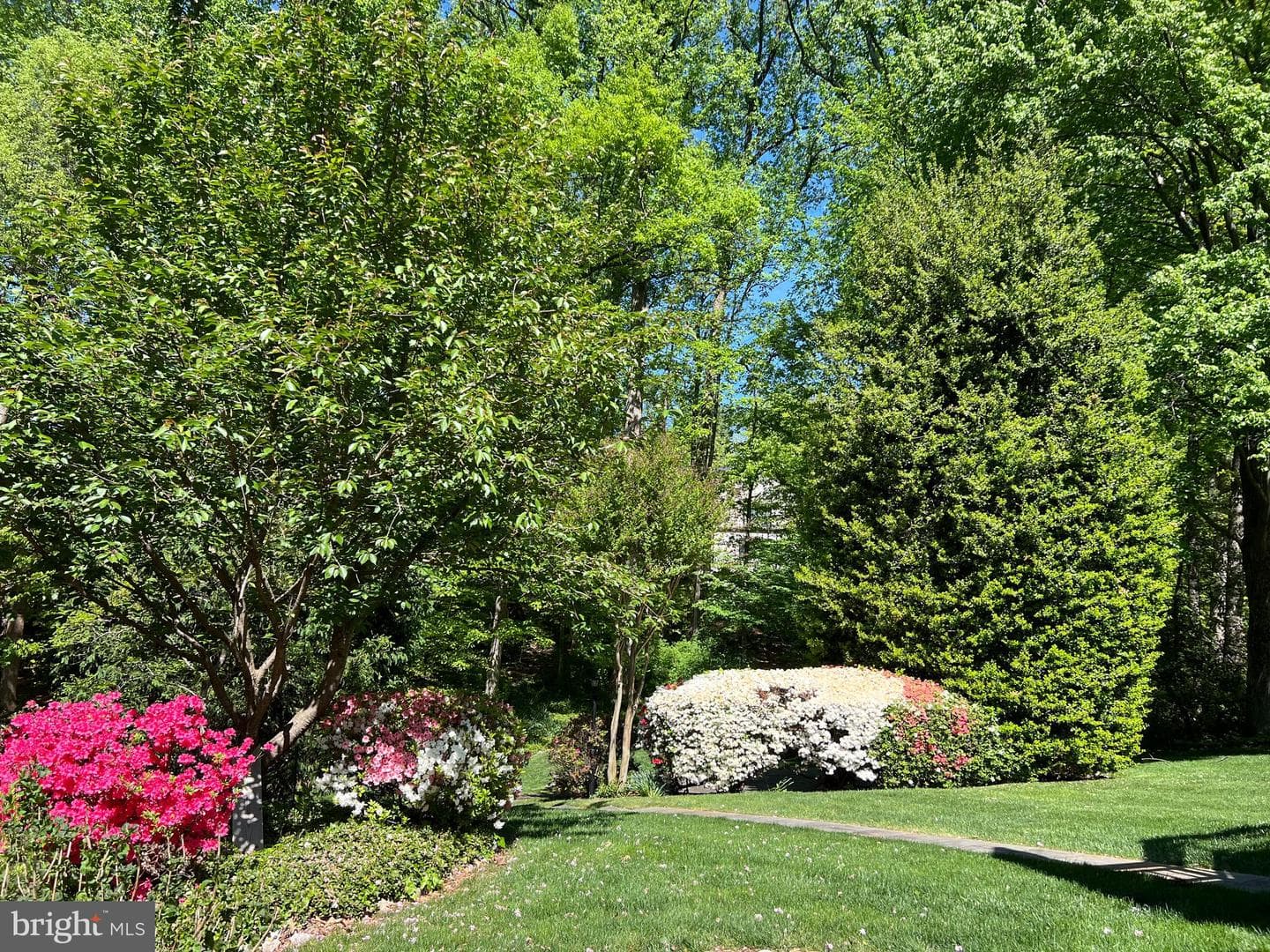 6907 Wilson Lane photo 40