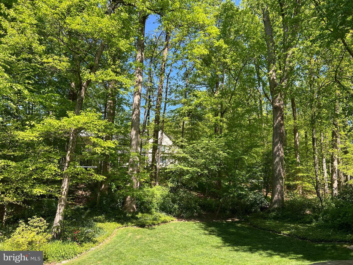6907 Wilson Lane photo 48
