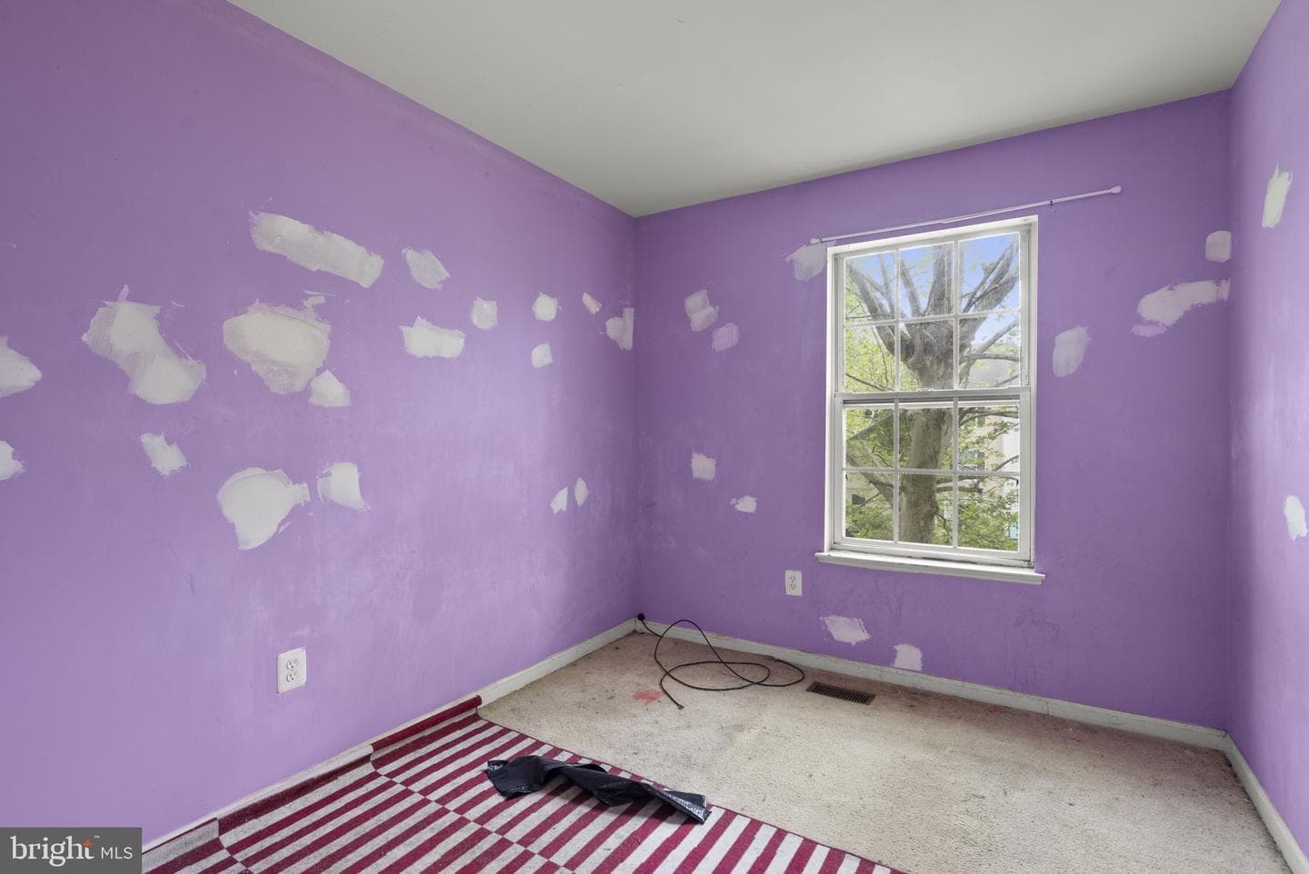 12416 Carters Grove Place photo 19