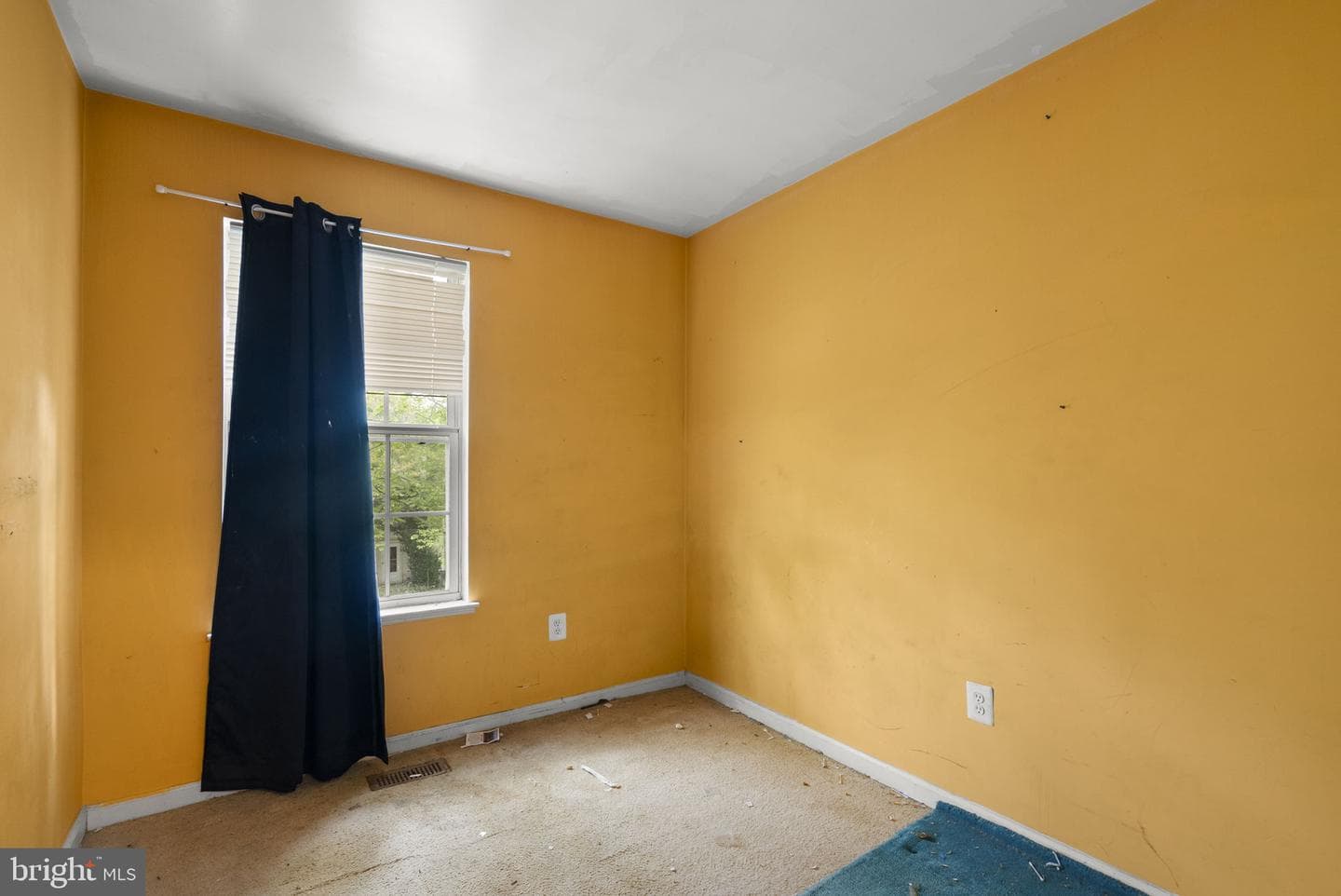 12416 Carters Grove Place photo 23