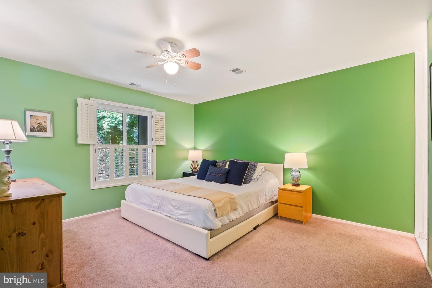 9434 Fern Hollow Way photo 17