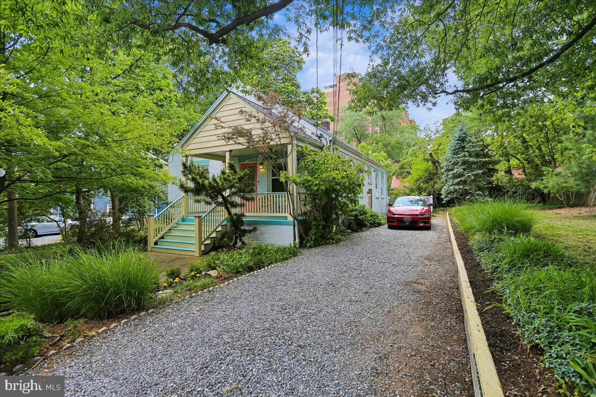 9 Pine Avenue photo 102