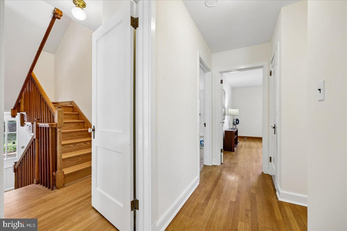 9 Pine Avenue photo 43