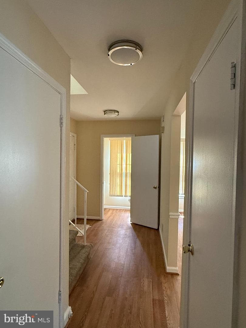 19 Shagbark Court photo 52