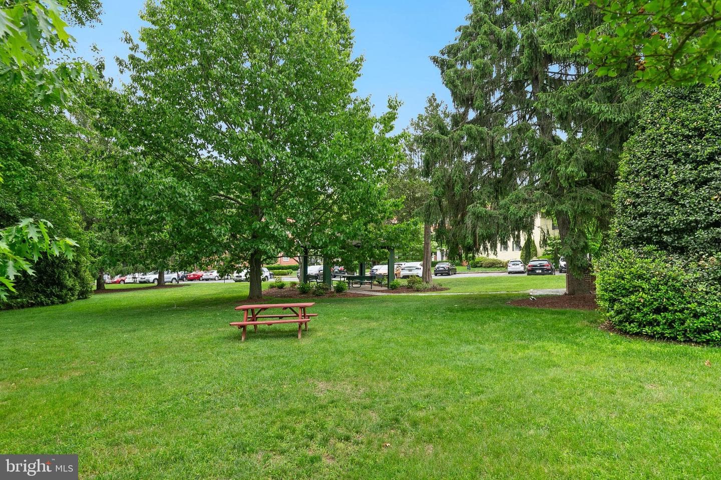 2212 Washington Avenue #103 photo 28