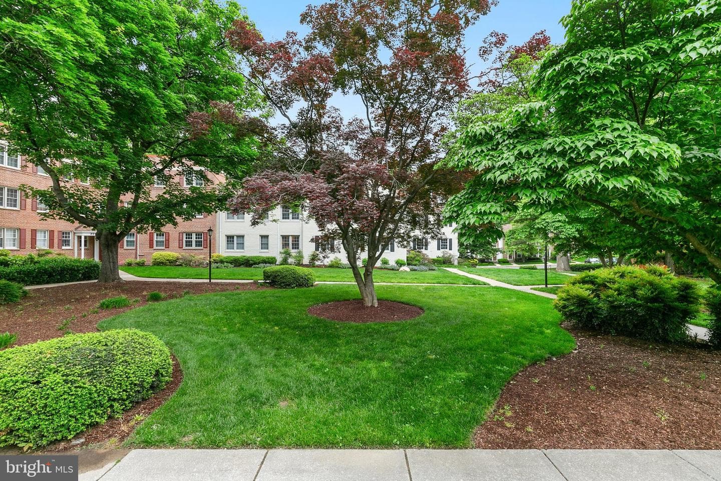 2212 Washington Avenue #103 photo 40