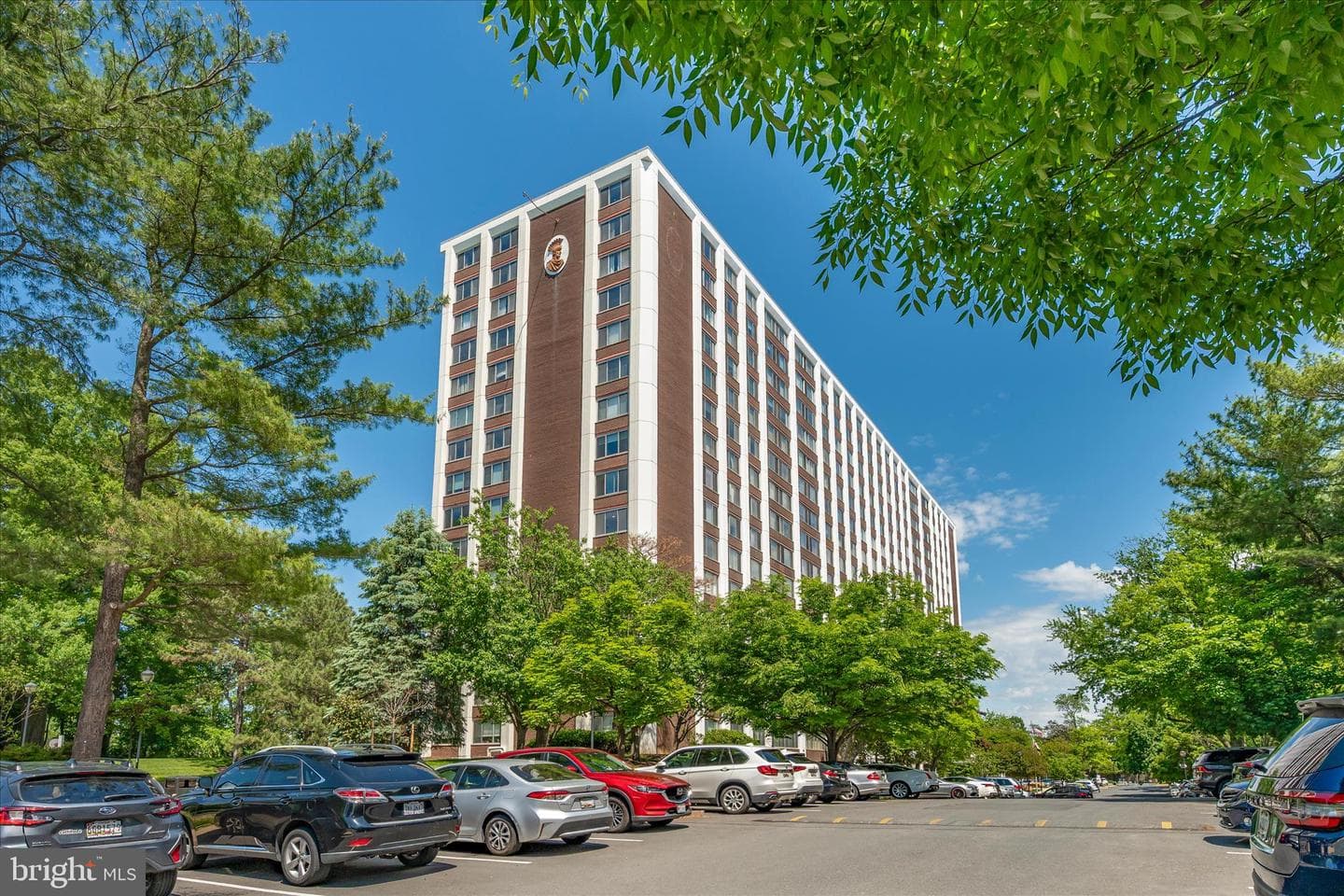11801 Rockville Pike #508 photo 3