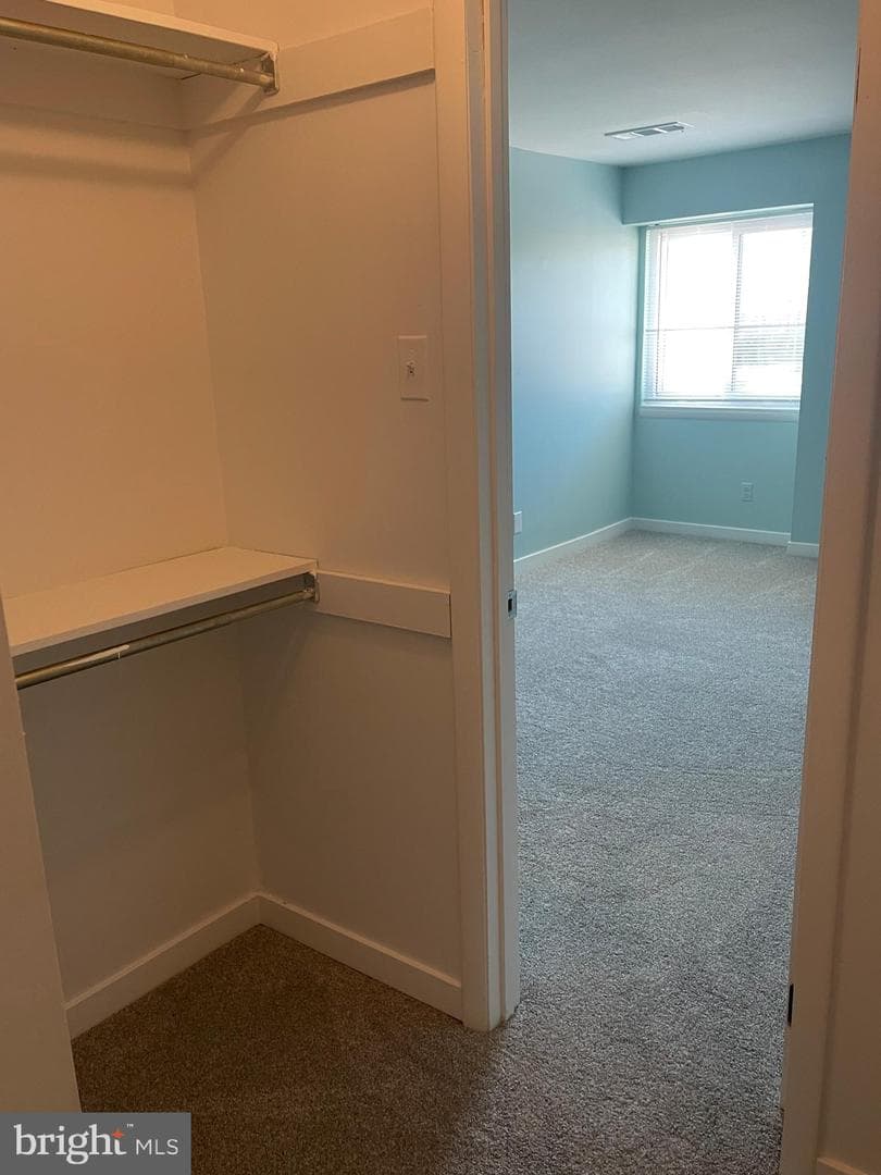 10106 Little Pond Place #5 photo 39