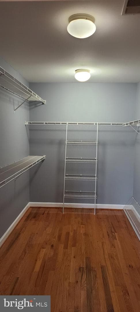 15309 Lions Den Road photo 67
