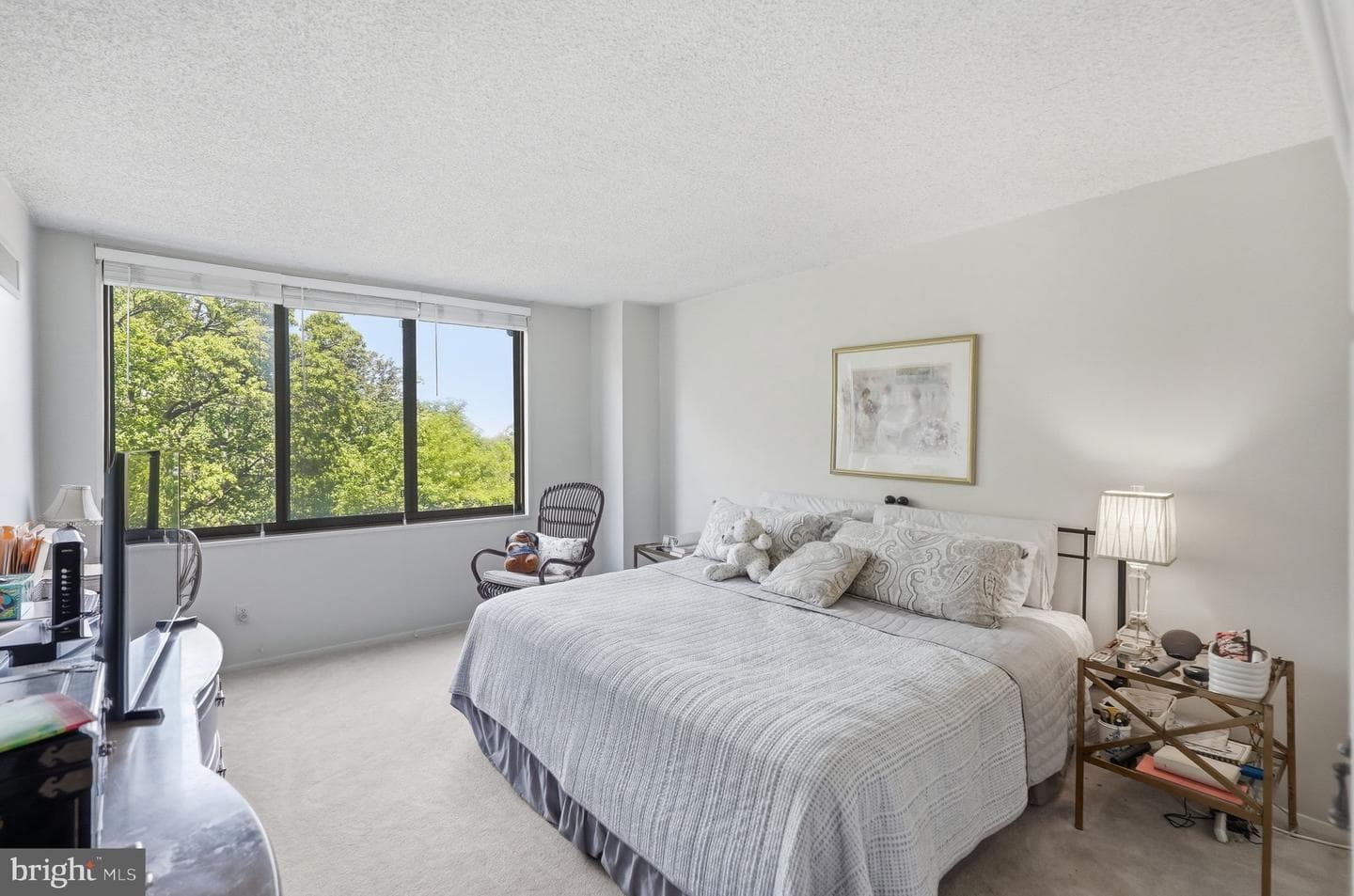 5225 Pooks Hill Road #910n photo 15