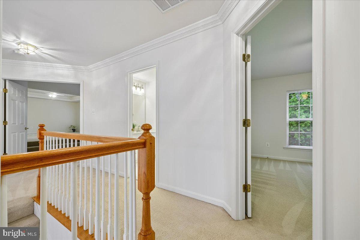 11416 Ramsburg Court photo 51