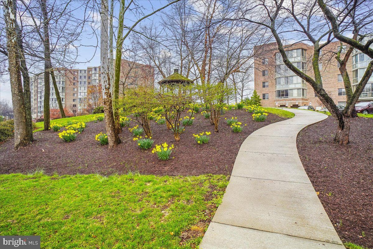 3005 Leisure World Boulevard S #515 photo 51