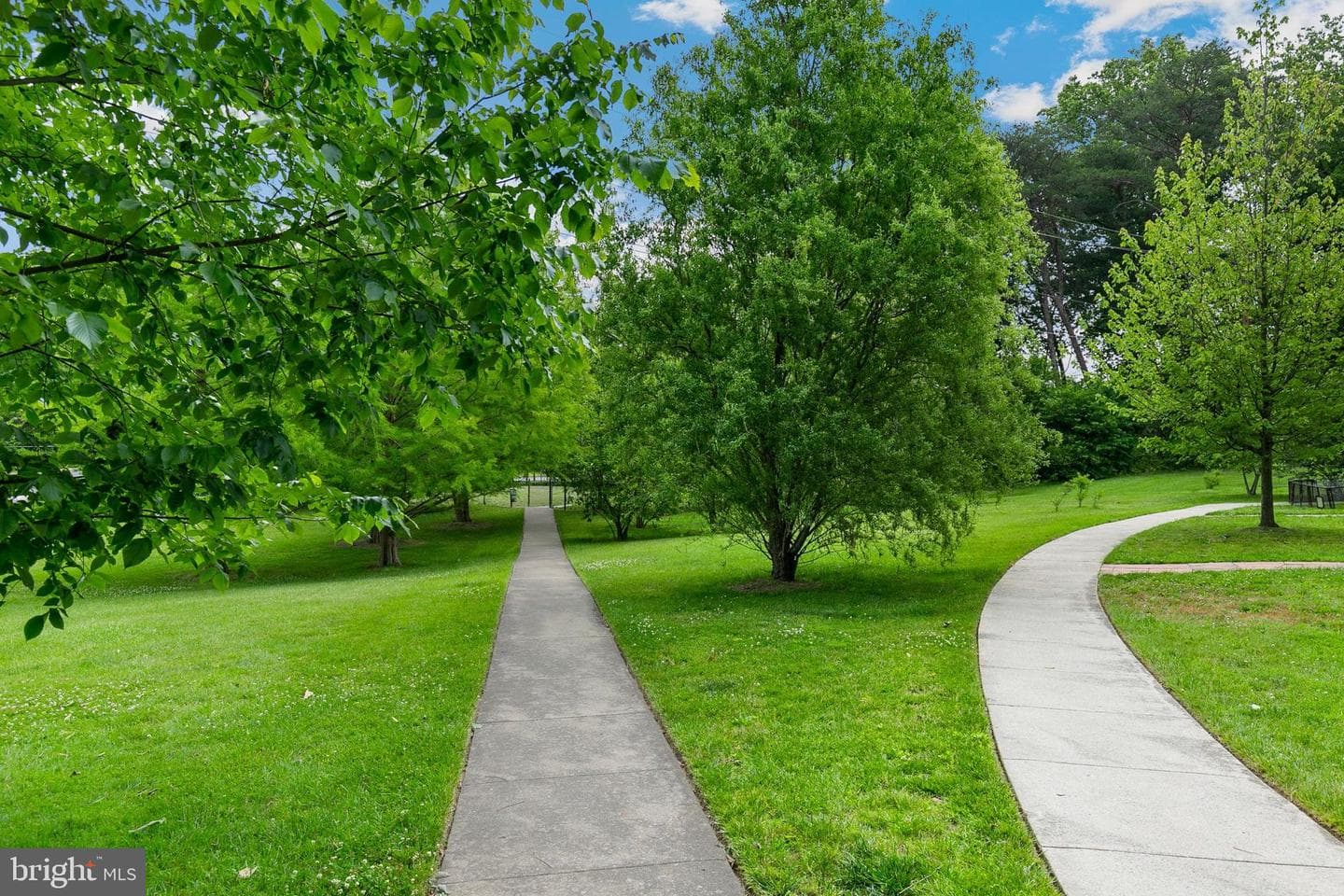 2305 Greenery Lane #t-2-3 photo 38