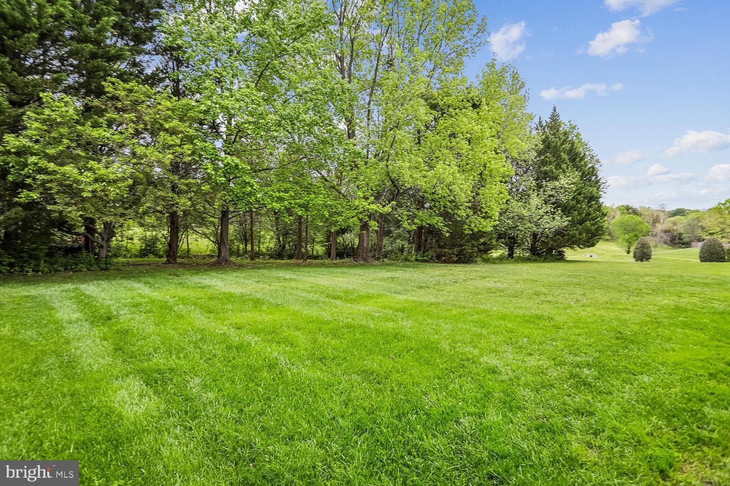 11603 Seneca Forest Circle photo 55