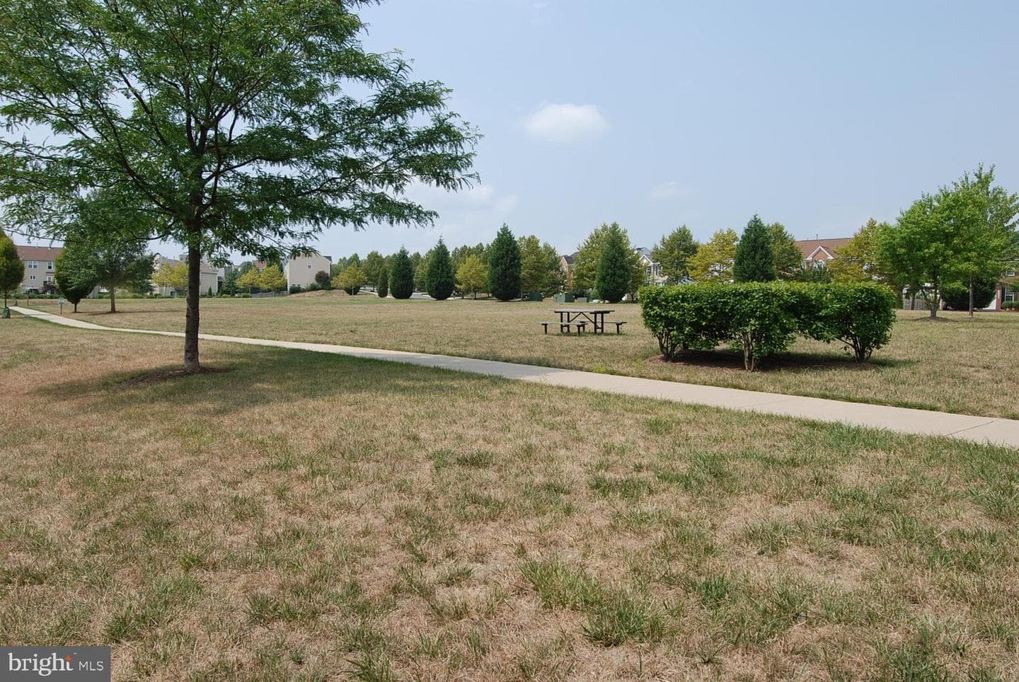 11603 Seneca Forest Circle photo 58