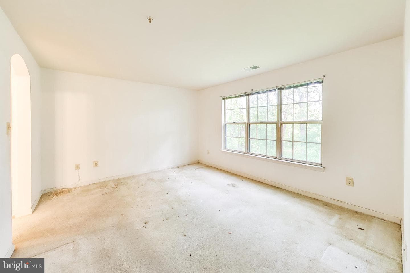 121 Timberbrook Lane #203 photo 13