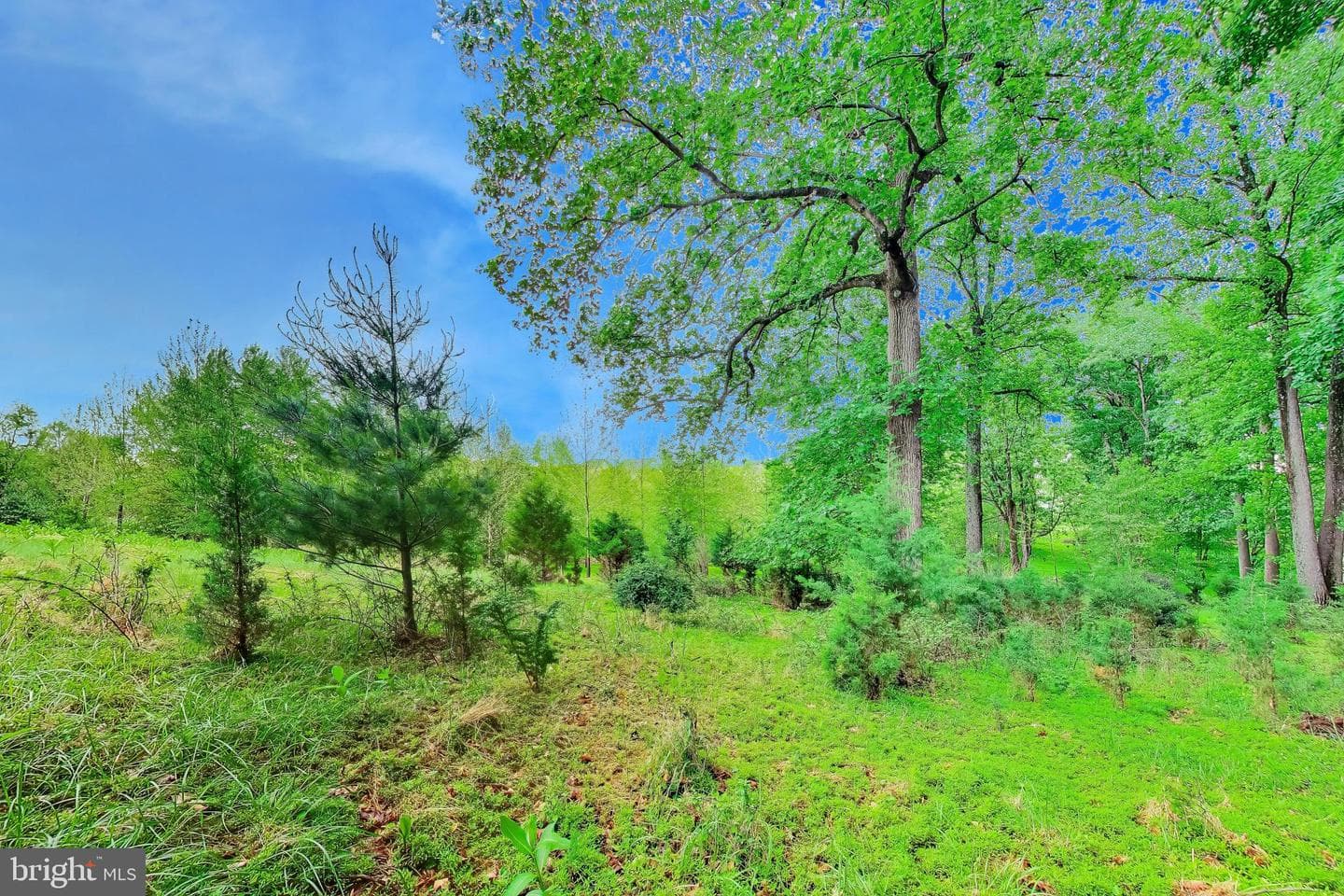 13513 Moonlight Trail Drive photo 71