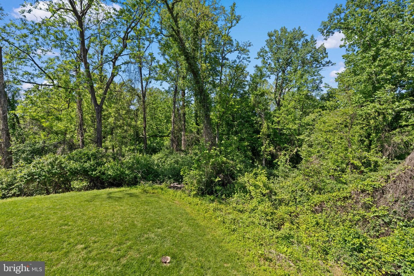 9815 Tiffany Hill Court #68 photo 21