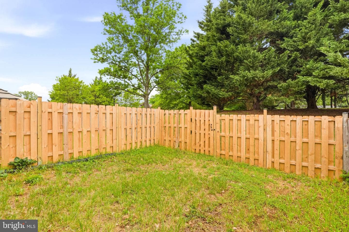 14402 Stepping Stone Way photo 28