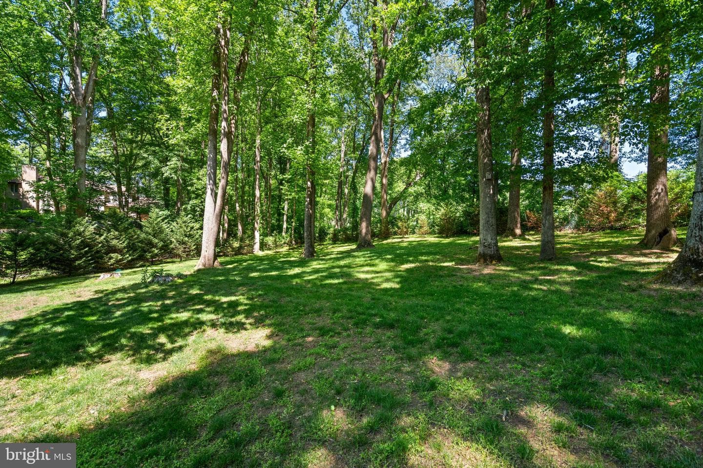 6825 Capri Place photo 52