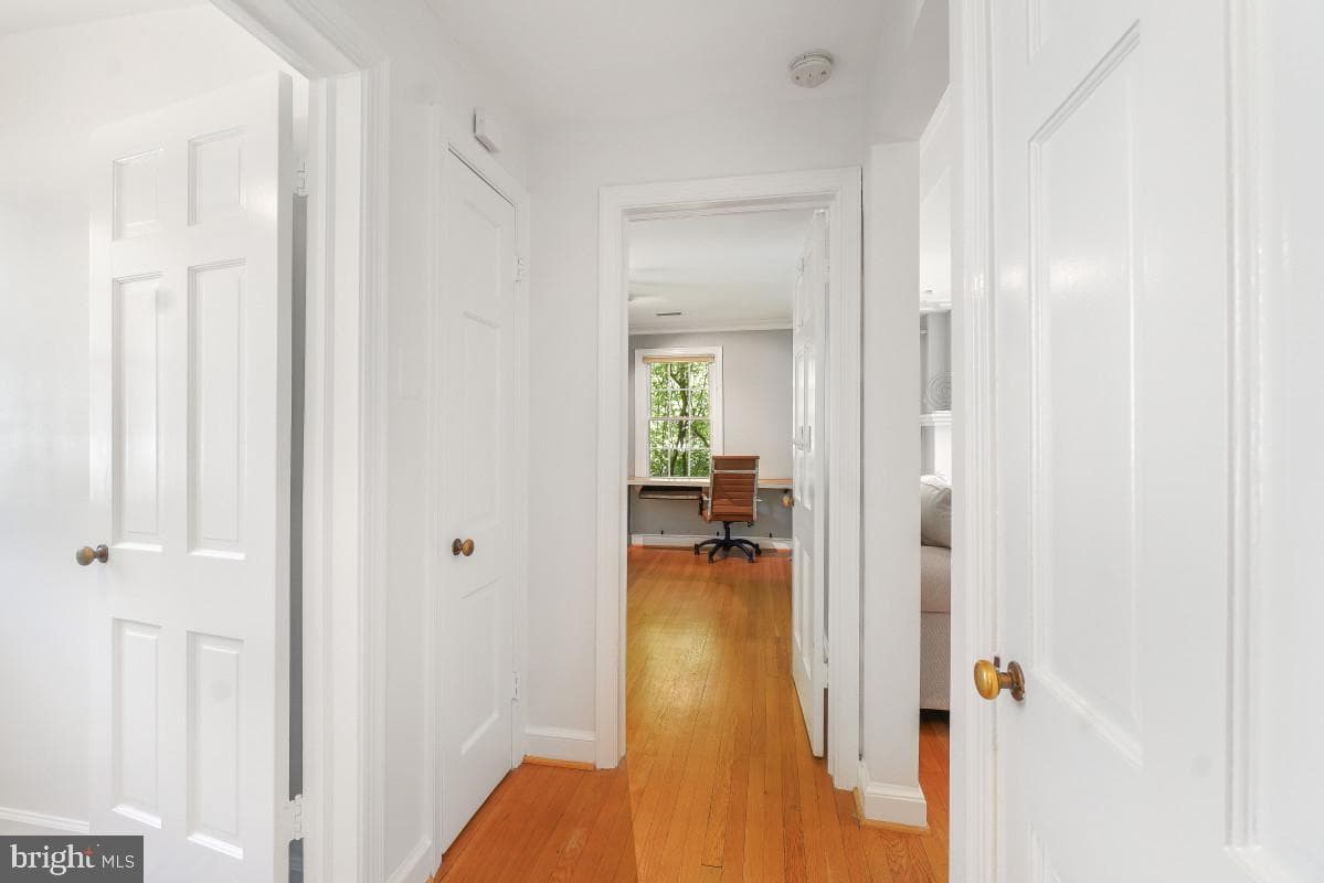 517 Ethan Allen Avenue photo 15