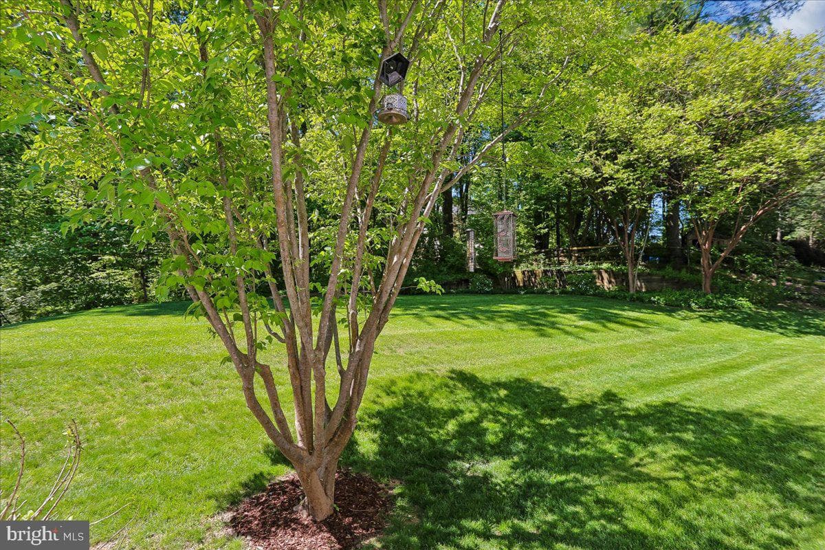 9 Kings Valley Court photo 80