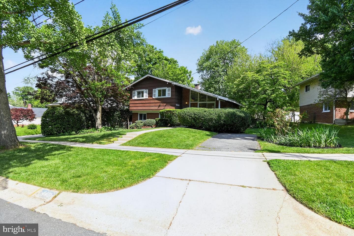 4401 Ferrara Drive photo 28