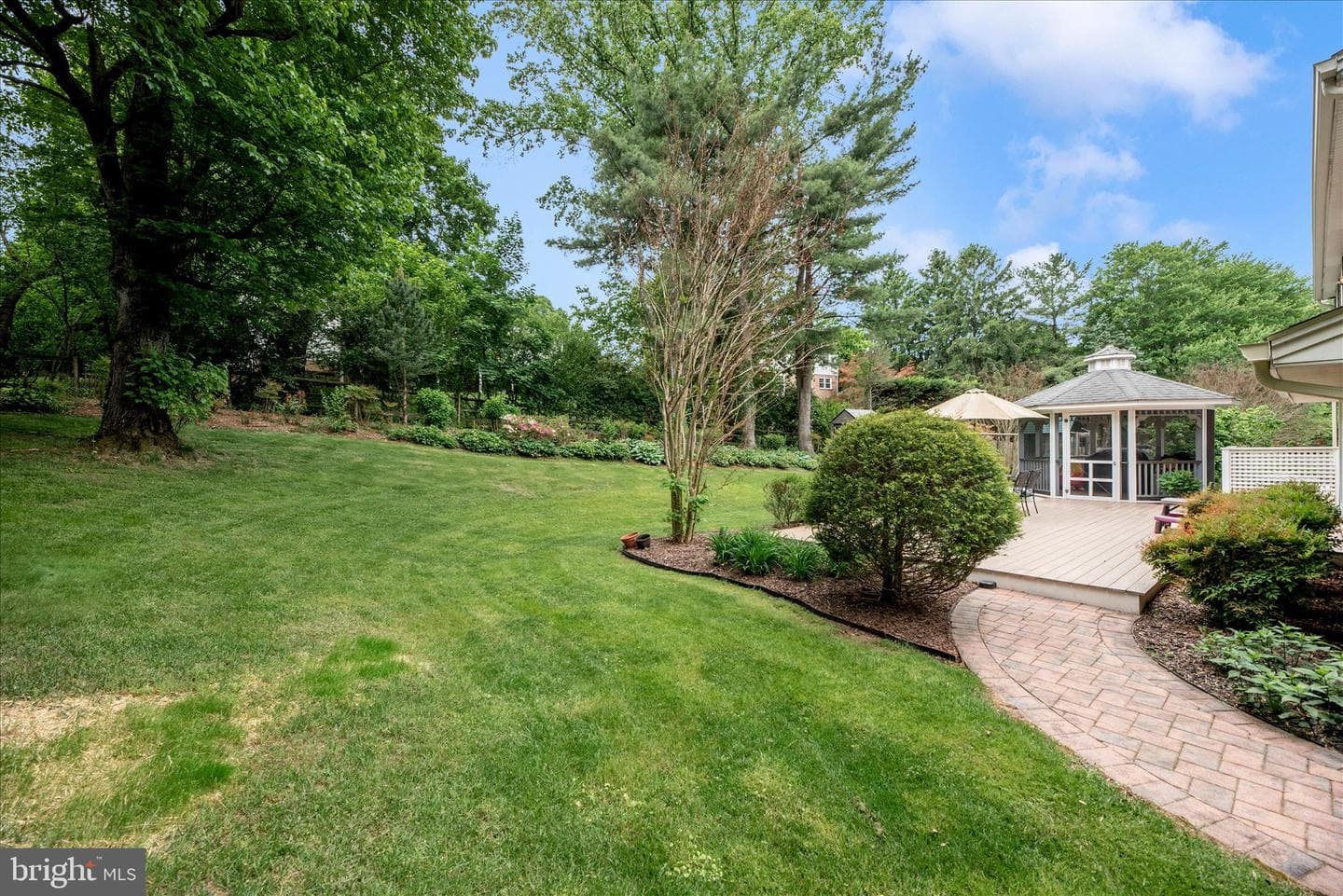 10748 Middleboro Drive photo 45