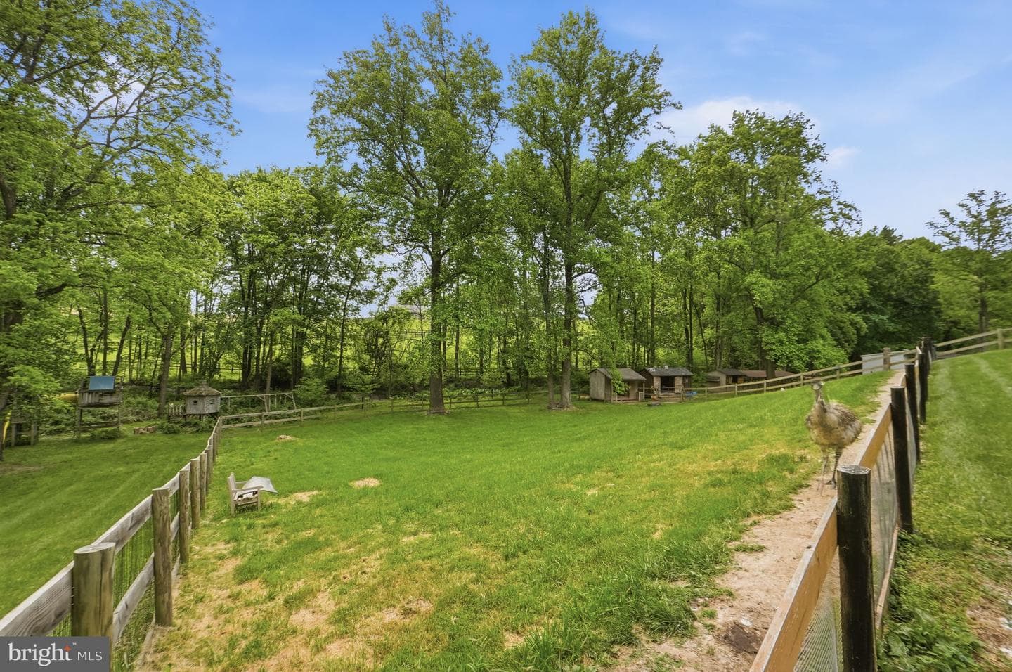 26135 Viewland Dr photo 54