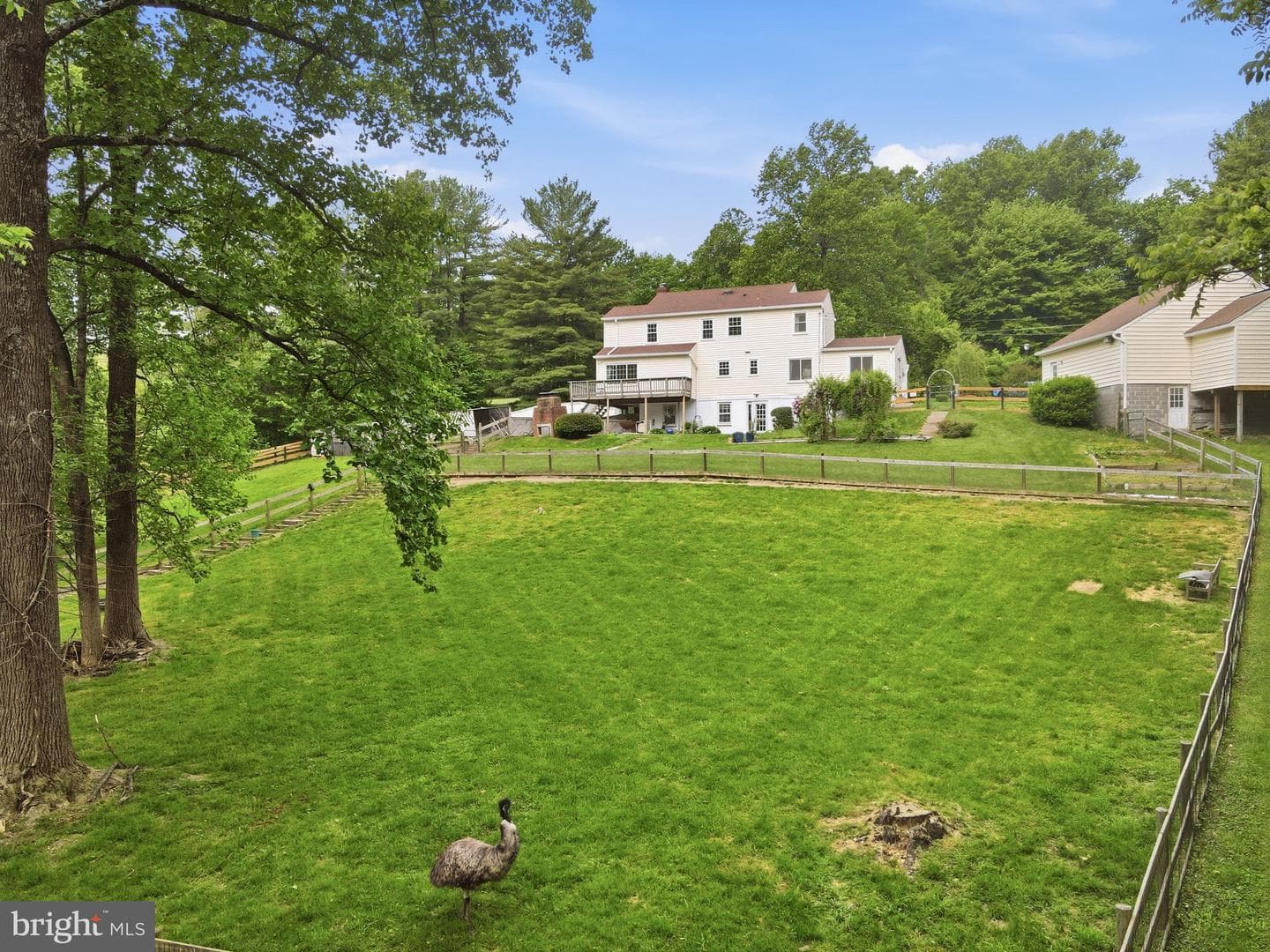 26135 Viewland Dr photo 56