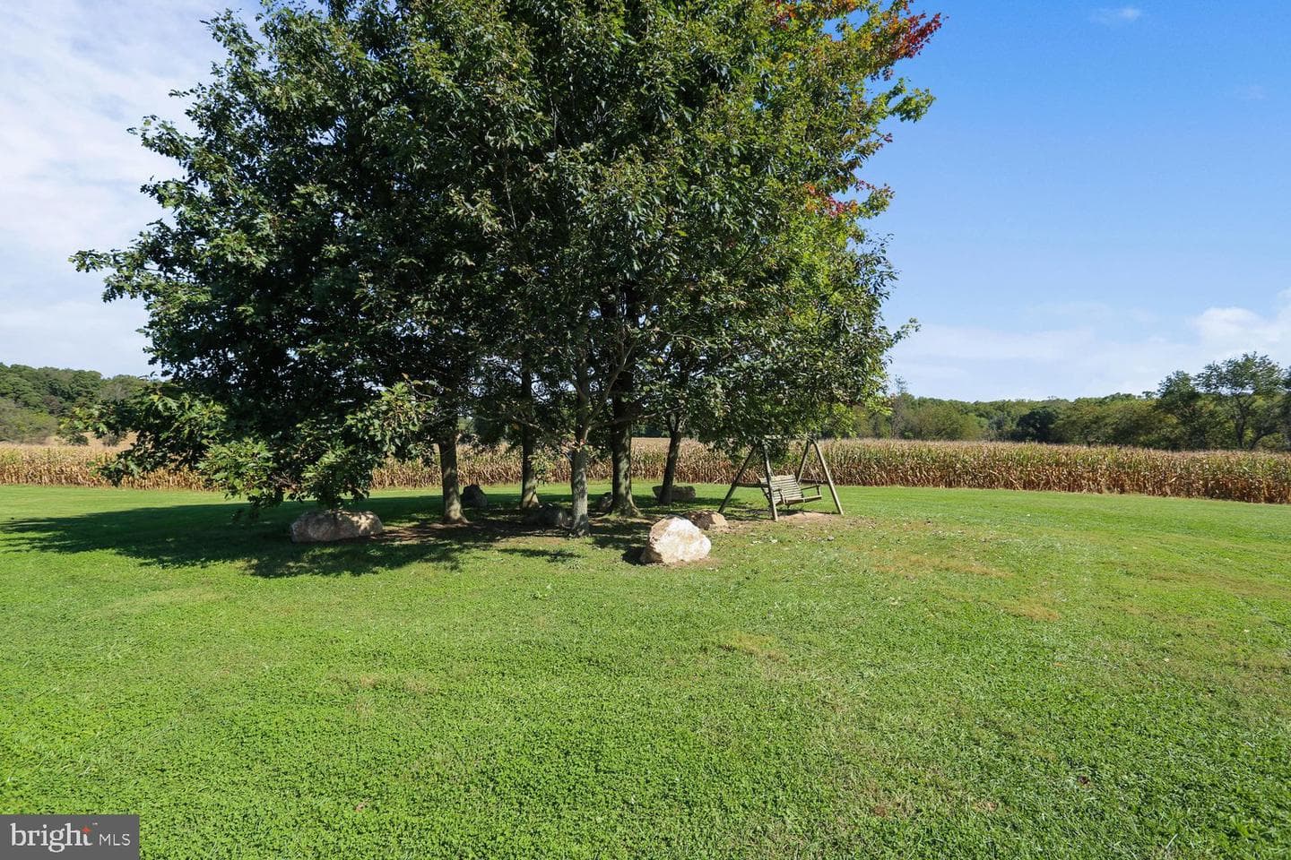 205 Tulip Drive photo 65