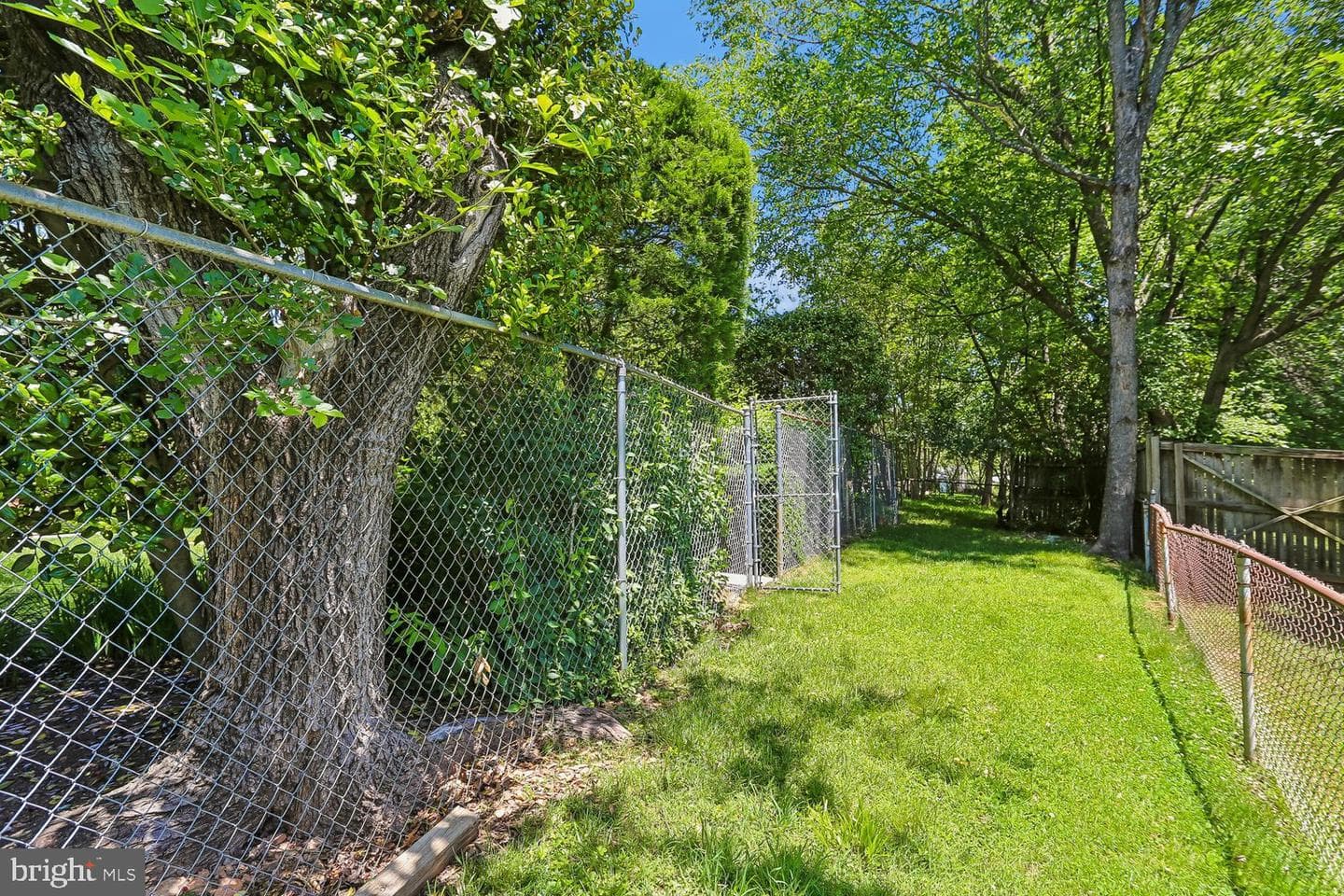 902 Malta Ln photo 50