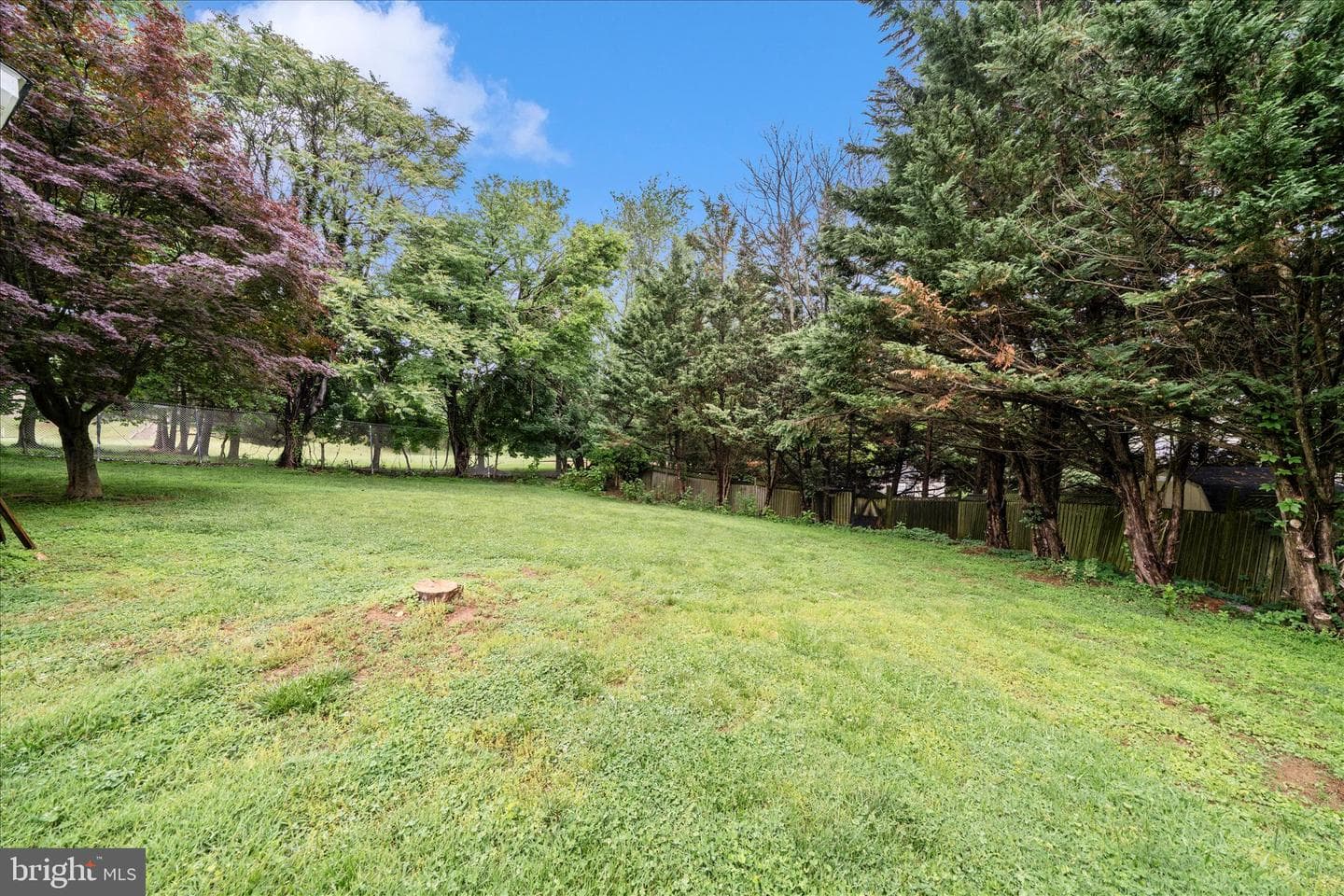24717 Showbarn Circle photo 39