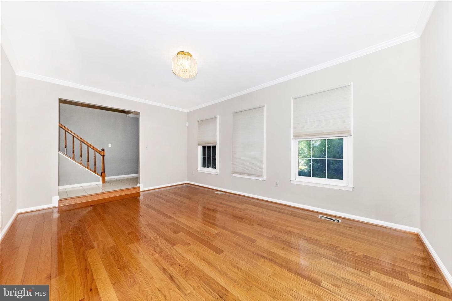 12007 Leatherbark Way photo 10