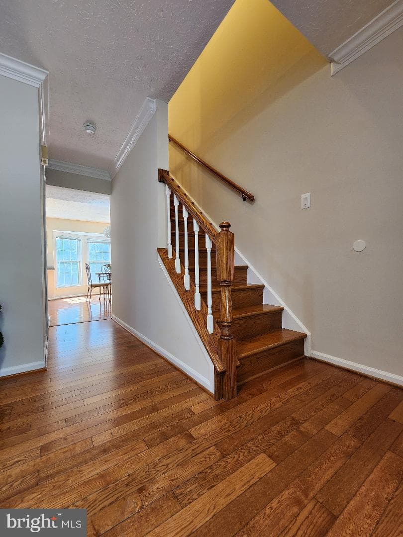 13908 Bergenfield photo 10