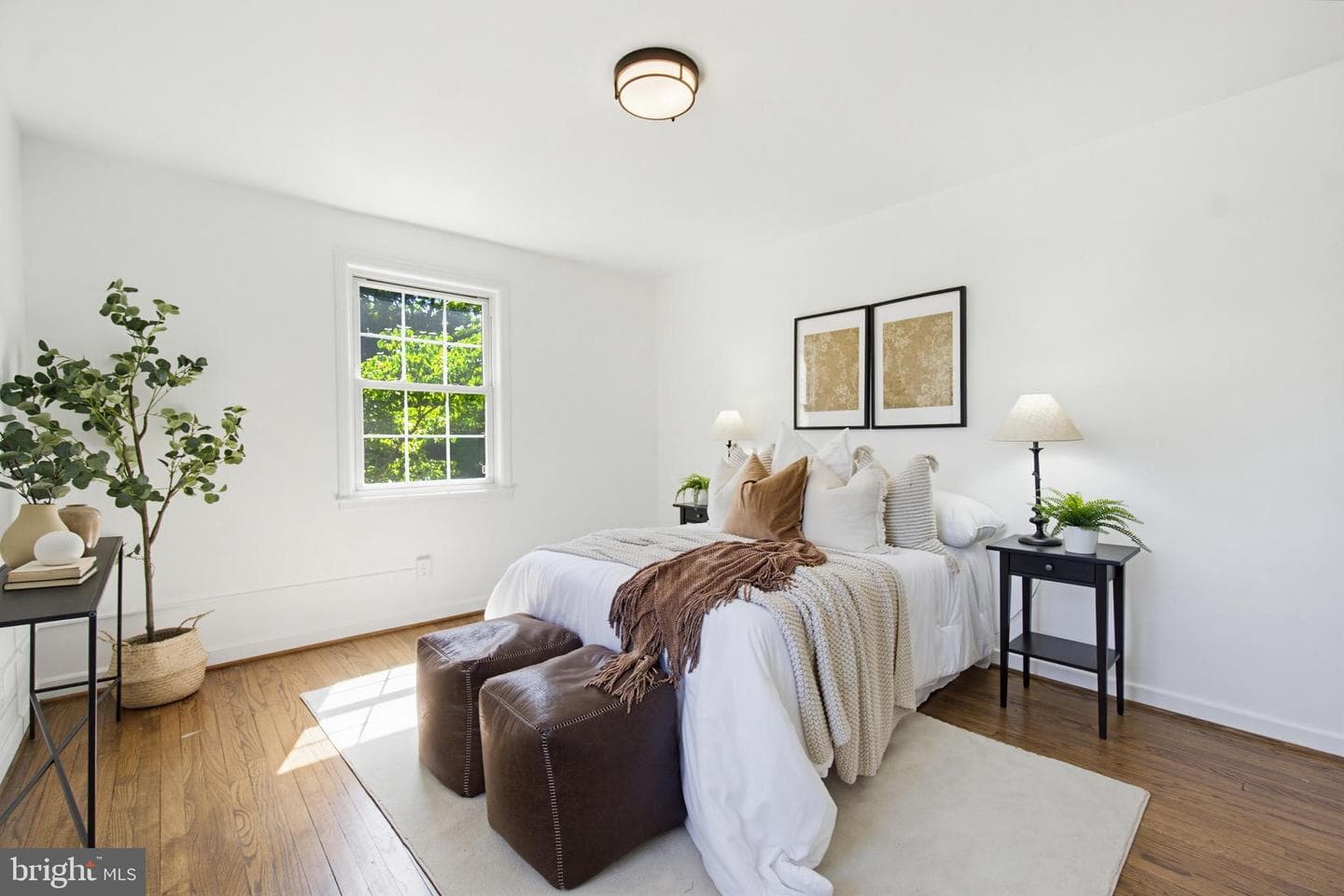 2214 Colston Drive #201 photo 22