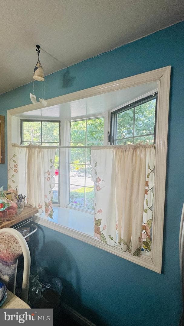 41 Shady Spring Place photo 12