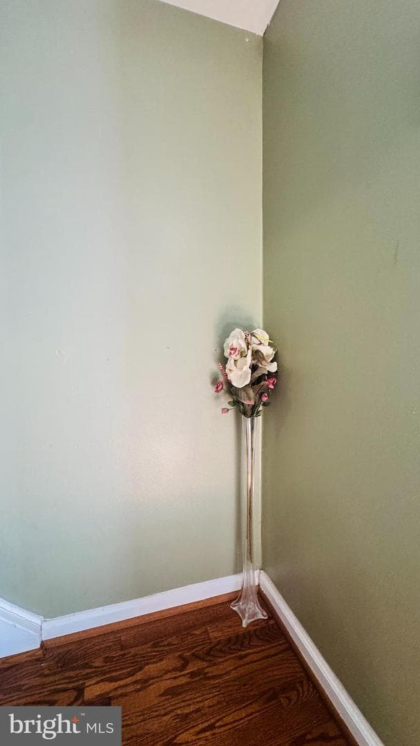 41 Shady Spring Place photo 26