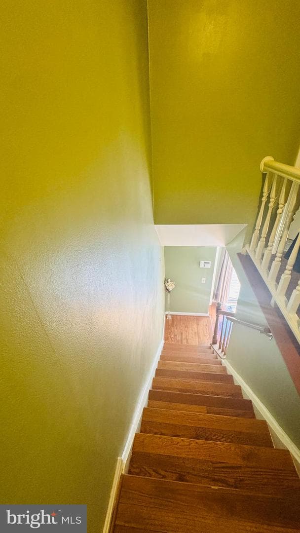 41 Shady Spring Place photo 30