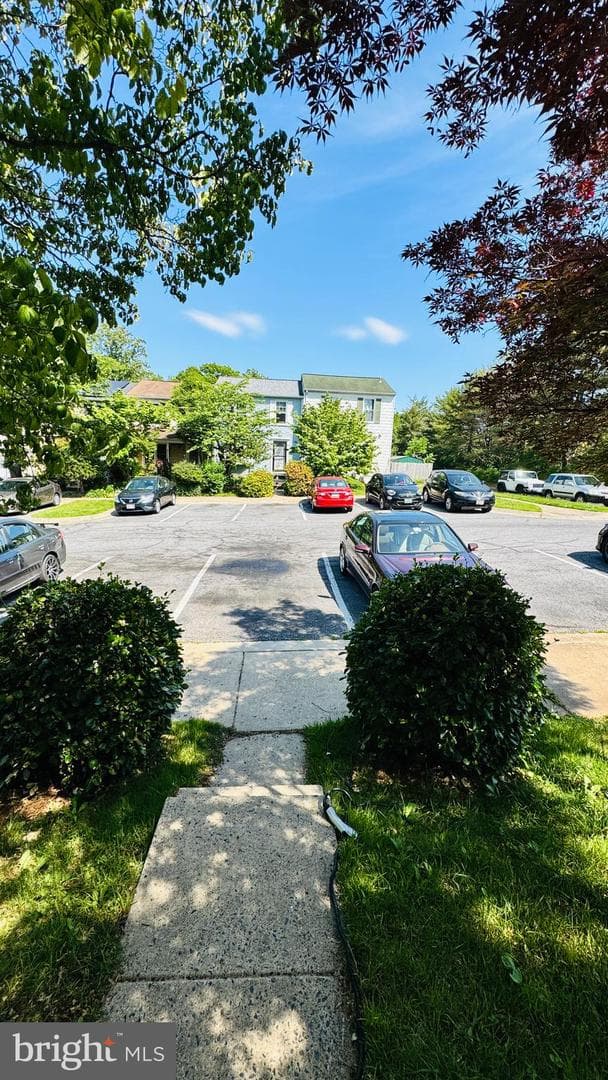 41 Shady Spring Place photo 8