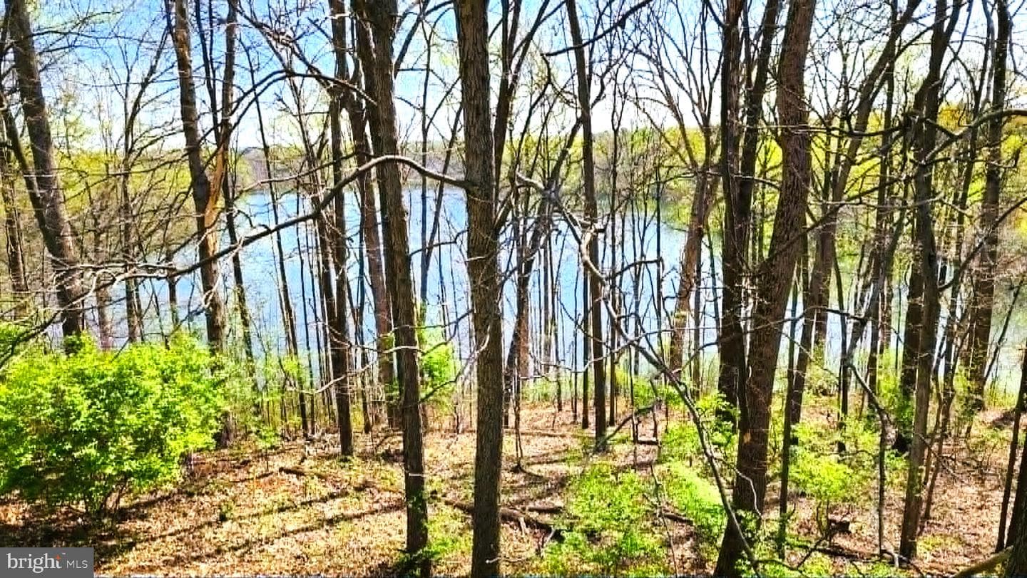 20011 Placid Lake Terrace photo 3