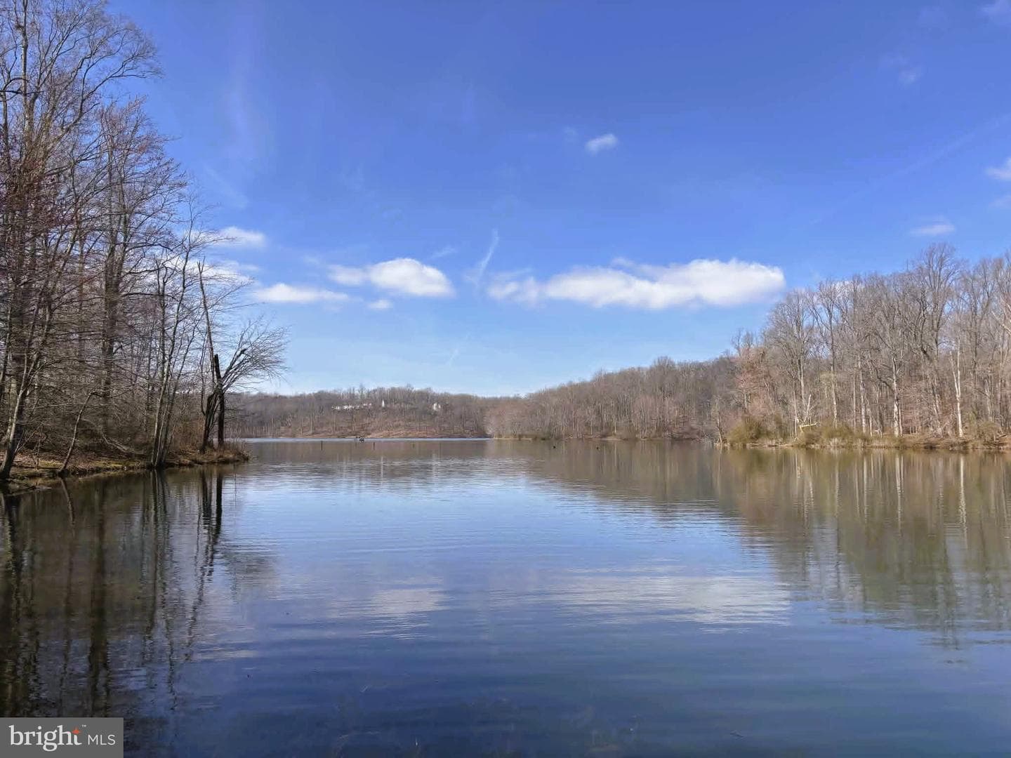 20011 Placid Lake Terrace photo 57